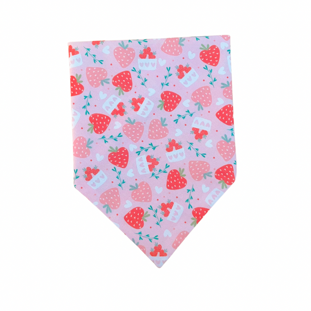 Berry in Love Snap-On Bandana